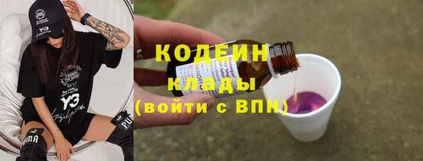 прущий лед Бородино