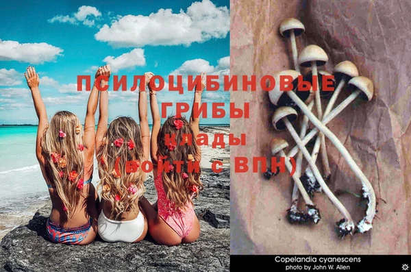 метамфетамин Верея