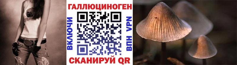 Галлюциногенные грибы Cubensis  блэк спрут зеркало  Стерлитамак 